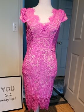 Latiste Elegant Pink Lace Sheath Dress - Feminine Scalloped Neckline